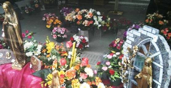 vitrine fleurs
